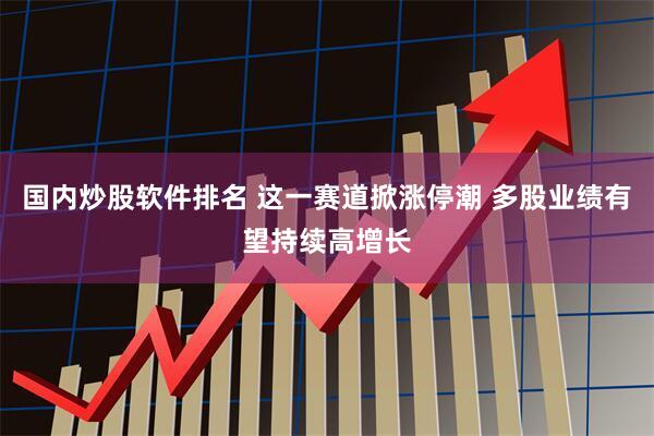 国内炒股软件排名 这一赛道掀涨停潮 多股业绩有望持续高增长